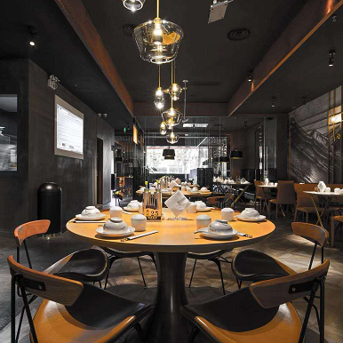 褐羽·汕头狮头鹅